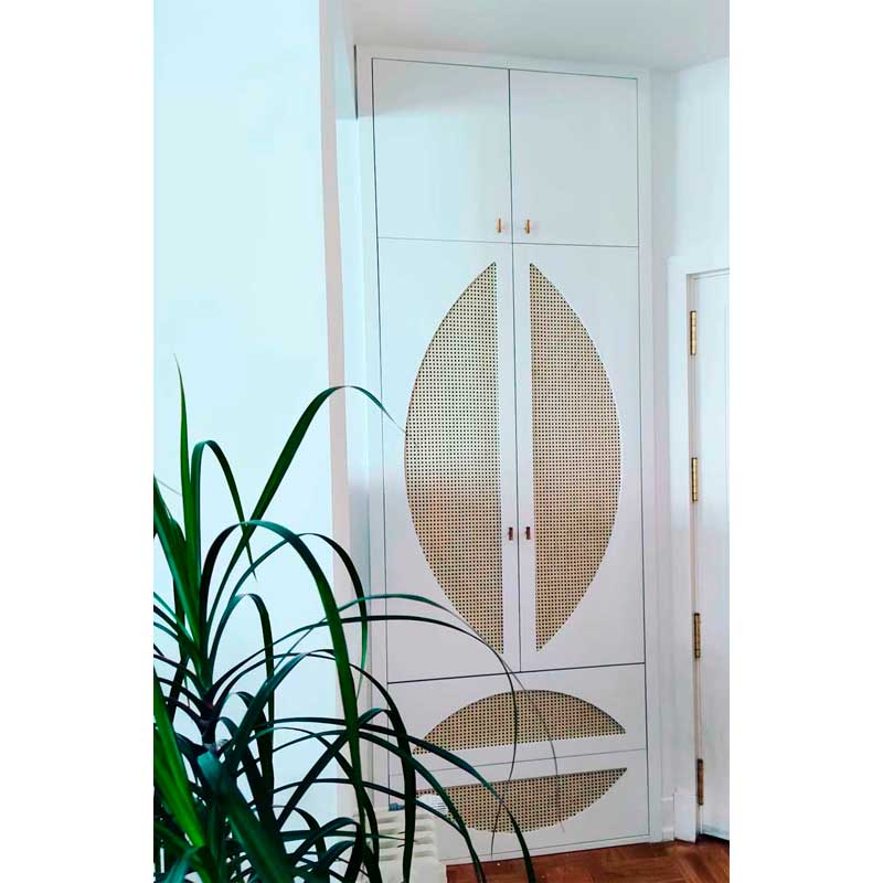 Diesños especiales puerta de armario